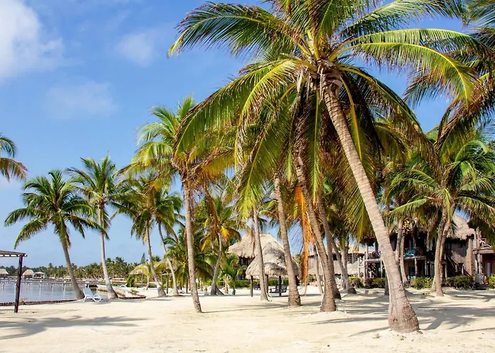 De Isla Bonita A4